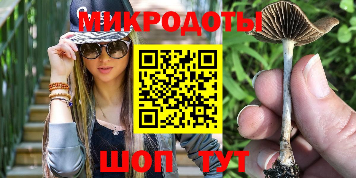 Галлюциногенные грибы Cubensis Миасс